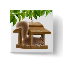 Squirrel in Bird Feeder Pin