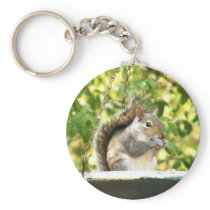 Squirrel in Bowl keychains