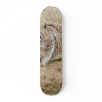 Squirrel In Dirt Sand skateboards by lifesphere Squirrel In Dirt Sand skateboards