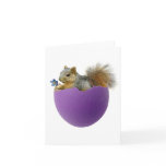 Squirrel in Eggshell Card cards