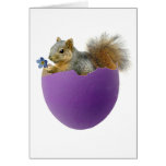Squirrel in Eggshell Card