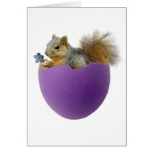 Squirrel in Eggshell Card