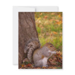 Squirrel in Fall Leaves Thanksgiving Invitation