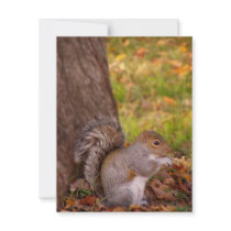 Squirrel in Fall Leaves Thanksgiving Invitation