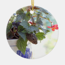 Squirrel in Flower Pot Christmas Tree Ornament