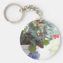 Squirrel in Flower Pot Key Chains