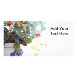 Squirrel in Flower Pot Photo Card