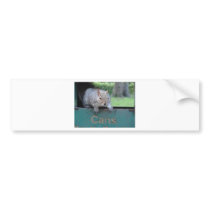 Squirrel in litter bin bumper stickers