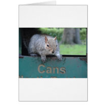 Squirrel in litter bin card