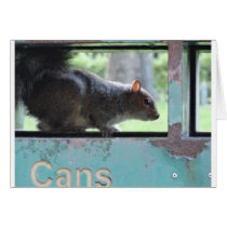 Squirrel in litter bin greeting cards