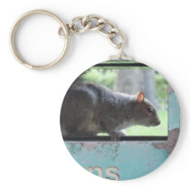 Squirrel in litter bin key chains