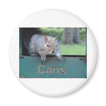 Squirrel in litter bin refrigerator magnet
