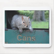 Squirrel in litter bin mousemats