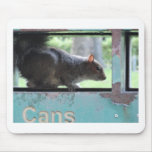 Squirrel in litter bin mousepads