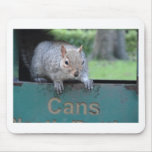 Squirrel in litter bin mousepads
