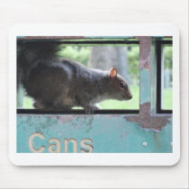 Squirrel in litter bin mouse mat