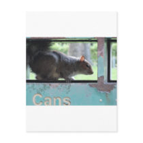 Squirrel in litter bin postcard
