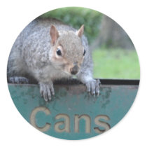 Squirrel in litter bin sticker