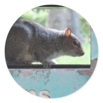 Squirrel in litter bin round stickers
