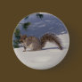 Squirrel in Snow