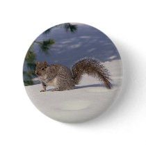 Squirrel in Snow buttons