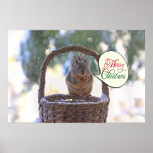 Squirrel in Snow Saying Merry Christmas Posters