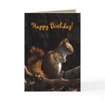 Squirrel in Sunlight Birthday Greeting Card