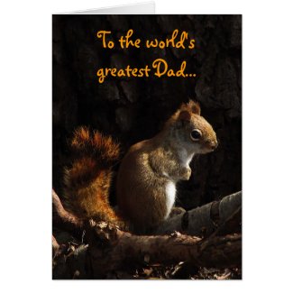 Squirrel in Sunlight Fathers Day Card