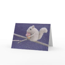 Squirrel in the Night on Branch with Snow cards