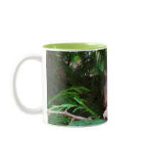Squirrel In Tree Coffee Mugs