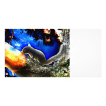 Squirrel In tree Pop Art Style Photo Cards