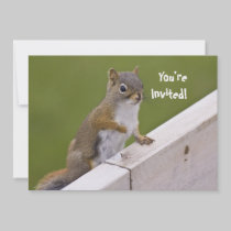 Squirrel invitation invitations