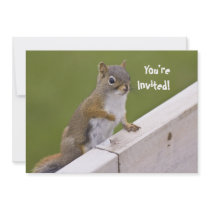 Squirrel invitation
