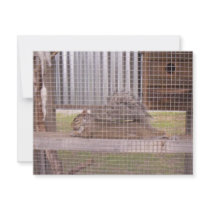 squirrel invitations by Tamossa squirrel invitations