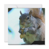 Squirrel Invitations