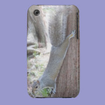 Squirrel iPhone 3 case casemate cases