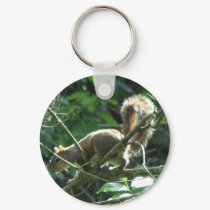 Squirrel keychains