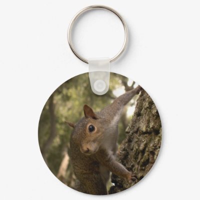 squirrel keychain by amjon1