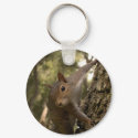 squirrel keychains