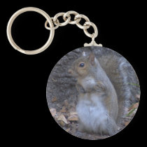 squirrel keychain keychains