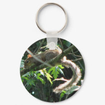 Squirrel keychains