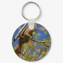 Squirrel keychains by lifesphere Squirrel keychains
