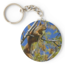 Squirrel Key Chains