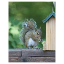 Squirrel letterhead by Diamonddust_Designs Squirrel letterhead