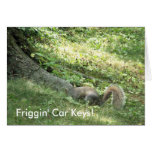 Squirrel looking for car keys greeting card