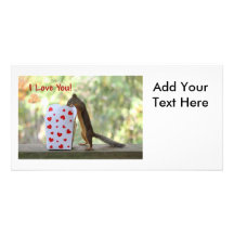 Squirrel Looking Inside Heart Box, "I Love You" Picture Card