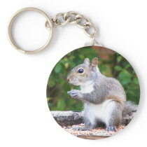 Squirrel Looking keychains