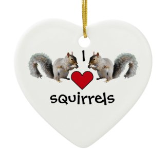 Squirrel Love