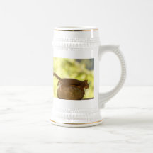 Squirrel Lying Down Photo Coffee Mugs
