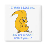 Squirrel Magnet magnet